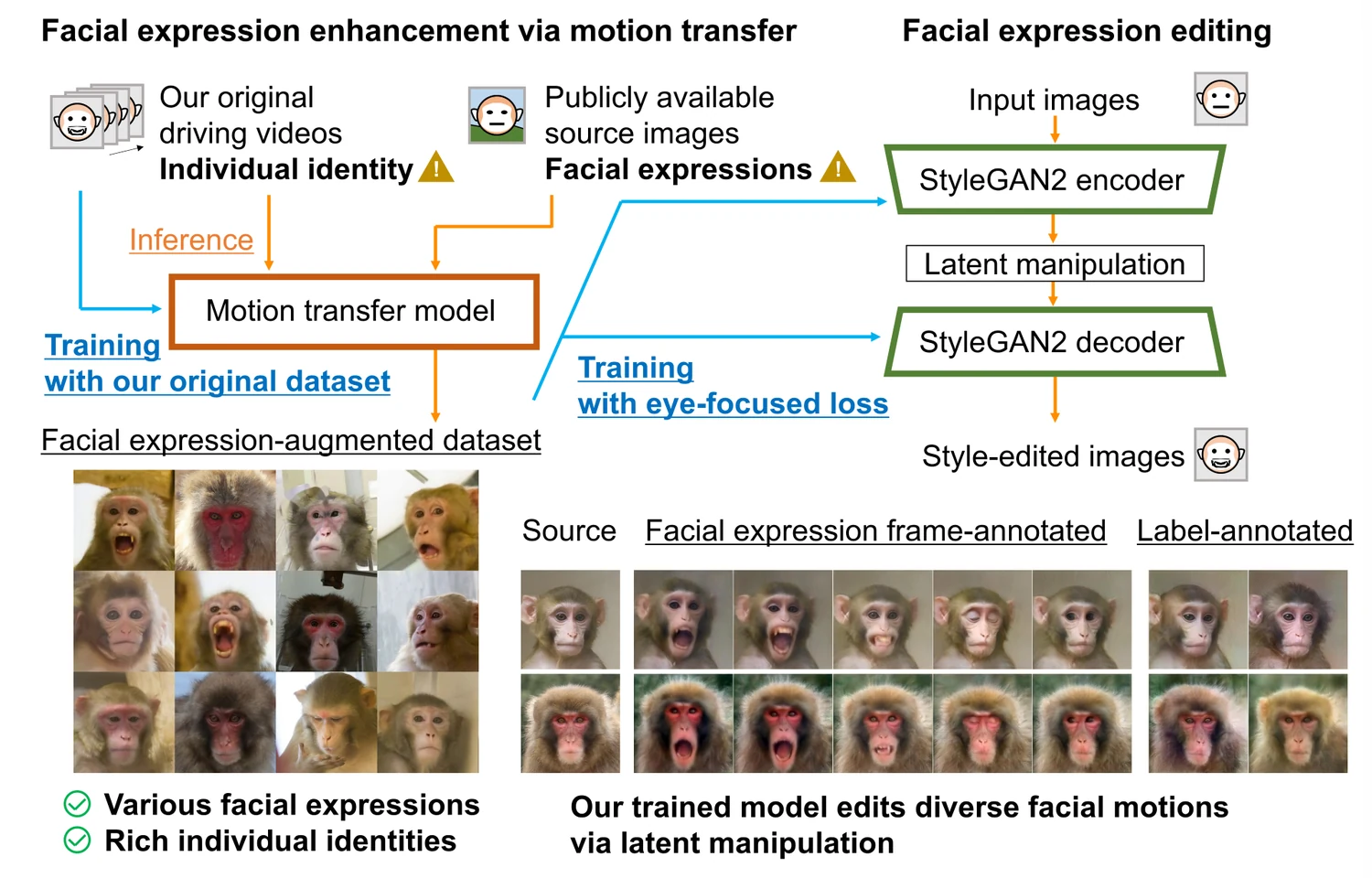 Overview of the motion transfer model and StyleGAN2-based facial expression editing, with generated macaque face images